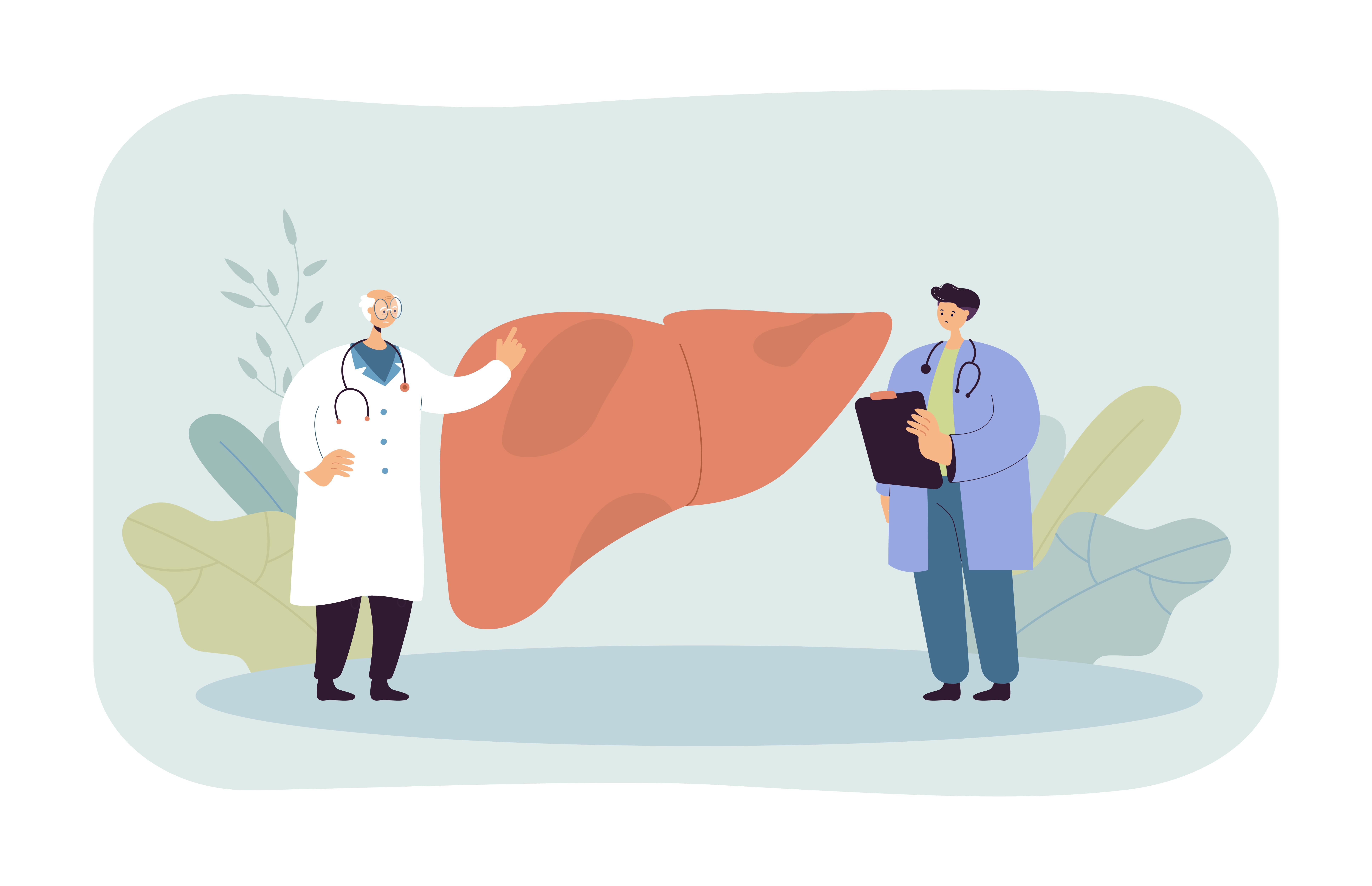 Восстановление печени после алкоголя: сколько времени нужно и как ускорить процесс